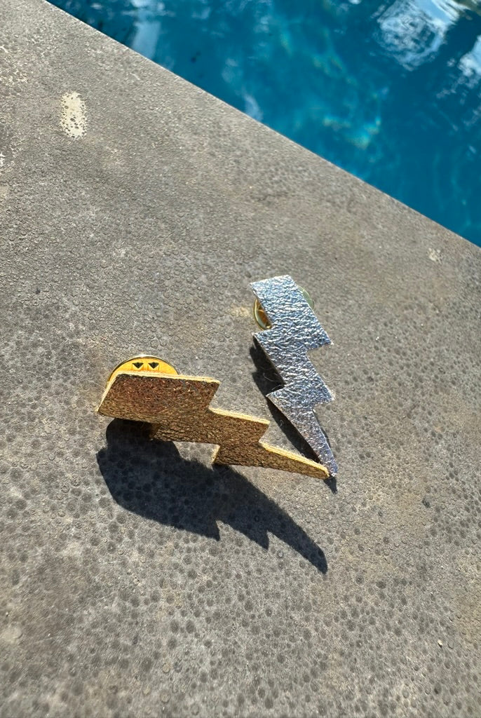 duo broches or et argent 2