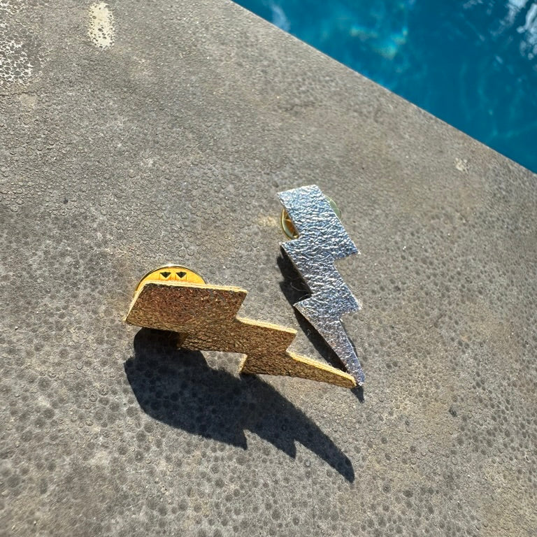 duo broches or et argent 2