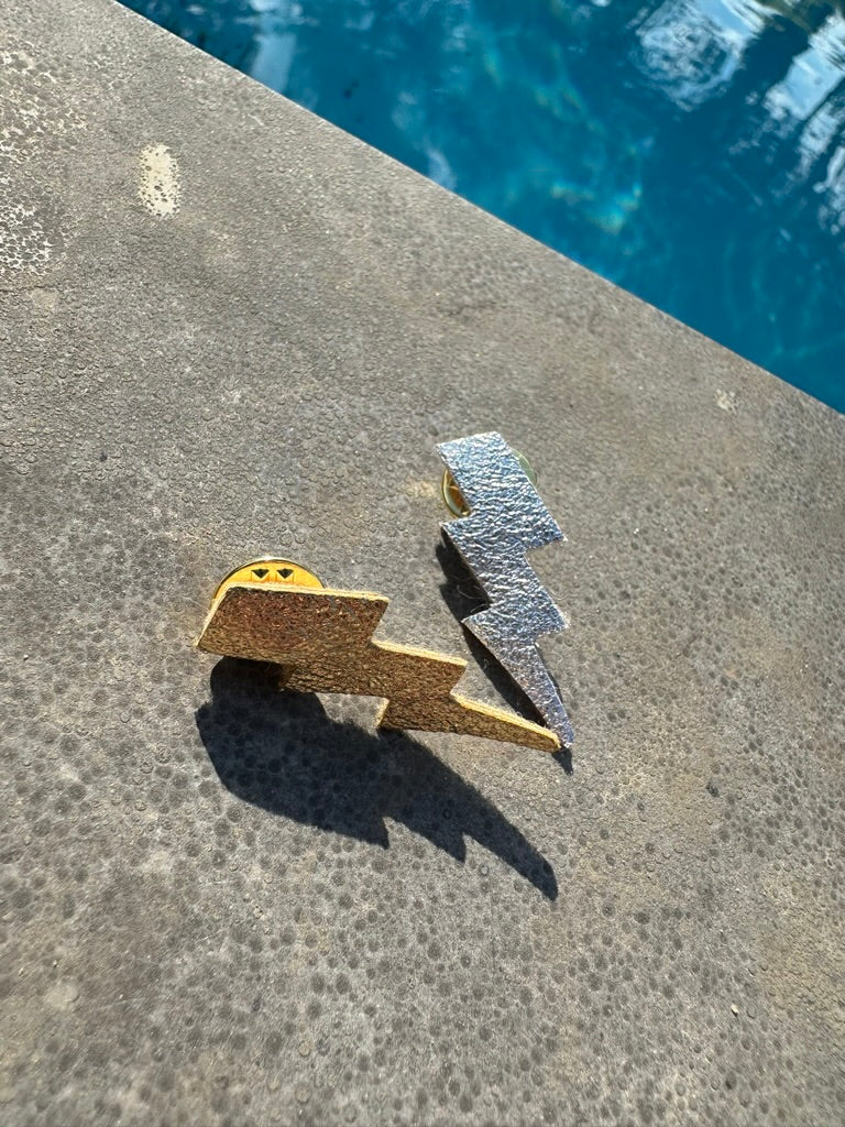 duo broches or et argent 2